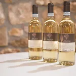 Antica Corte Soave (Verona)